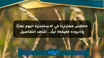 «طقس معتدل» في الإسكندرية اليوم نهارًا و«برودة خفيفة» ليلًا.. شاهد التفاصيل